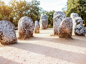 亲子/长辈/情侣三类客群怎么选民宿？房型搭配与避坑清单